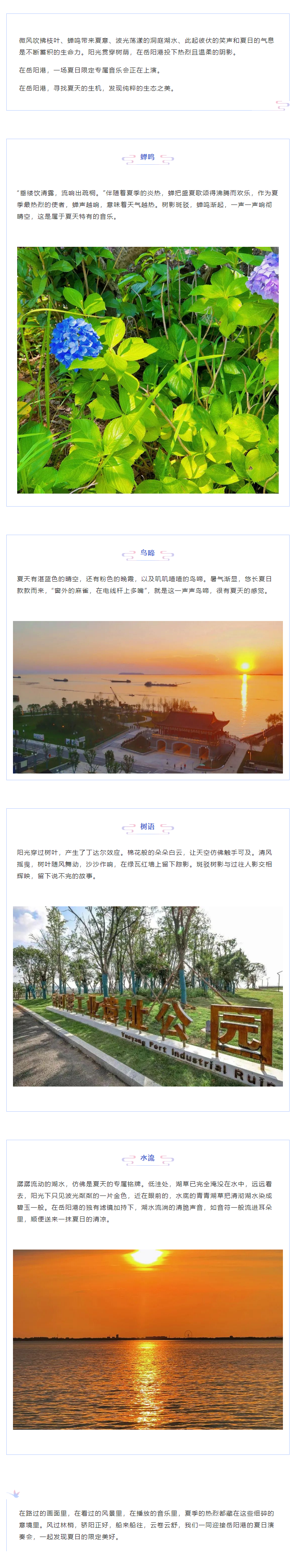 【夏日演奏會(huì)】在岳陽港，聆聽夏天的聲音.png